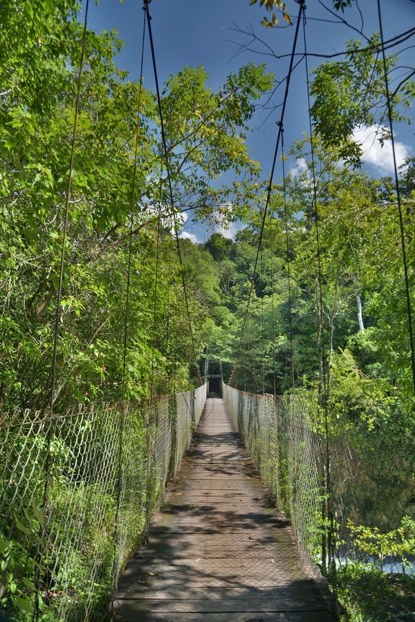 Ecolodge Las Nubes Chiapas La Fortuna Gallo Giro Exterior photo